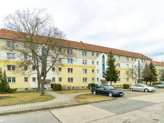 Gemütliche 2-Raumwohnung in der Altstadt