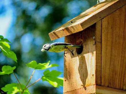 Anflug auf Ihr neues & klimaneutrales Traumhaus in Gelsenkirchen-Horst