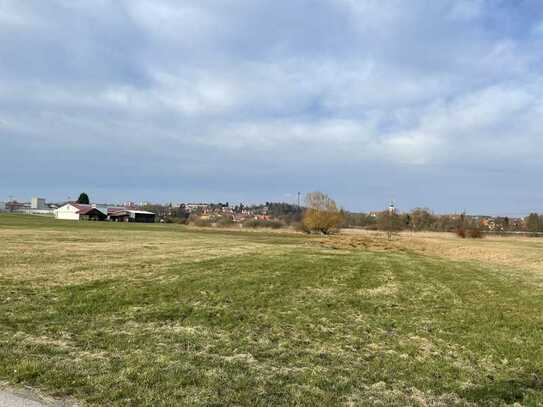 Zwei Landwirtschaftsflächen nebeneinander, Wiesen in Biotop-Lage, "Unterer Teich" bei Tirschenreuth