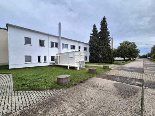 734 m² vielseitige Gewerbefläche (O) für Werkstatt/ Büro/ Lager in Ohorn zur Miete