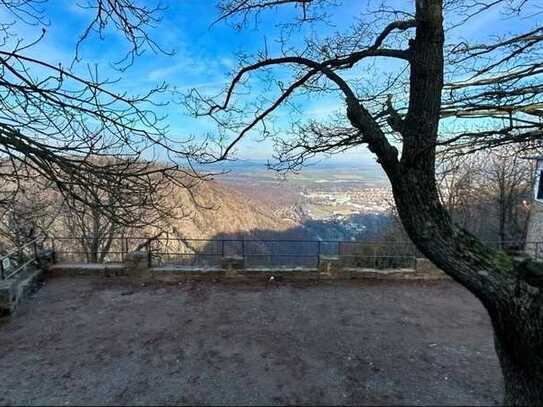 Hexentanzplatz: sagenhaft, umsatzstark!