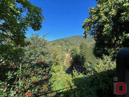 Idyllisches 876m² großes Grundstück mit Altbestand in bester Hanglage von Handschuhsheim