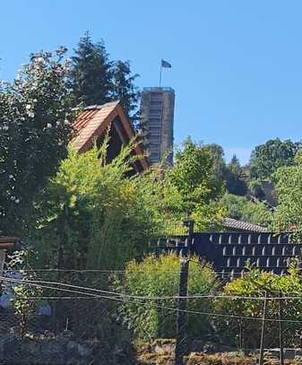 Großes Winzeranwesen mit geschlossener Innenhof, ausbaufähige Scheune, sowie mit schönem Garten !