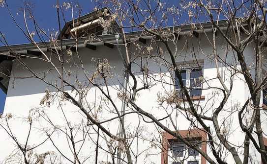 Maisonette - Liebhaberobjekt im schönen, gepflegten Altbau