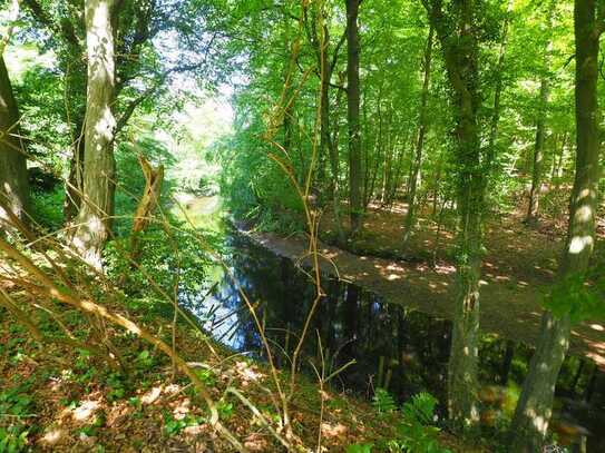 *PROVISIONSFREI für den Käufer* Hamburg pur - Wasser und Natur