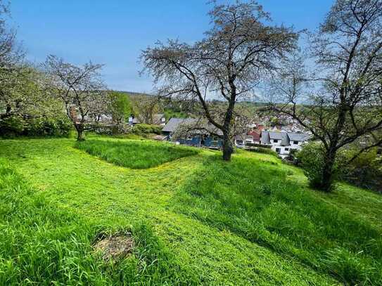 Streuobstwiese, Garten, Feldrandlage!
Traumhaftes Einfamilienhaus mit idyllischem Grundstück