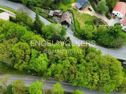 Großes Baugrundstück in grüner Lage