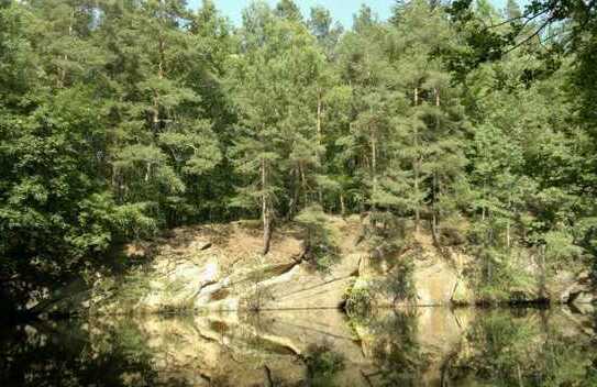 Grundstück im Wald mit Kranteich