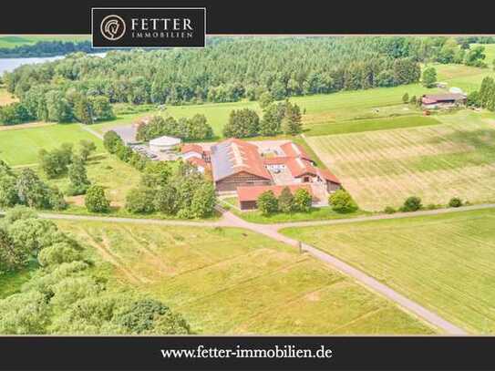 Hochwertige Reitanlage in Hessen zu verkaufen mit optimalen Trainingsbedingungen in See-Nähe!