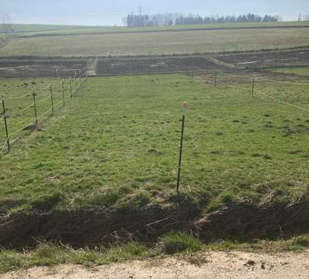 Investieren Sie in Landwirtschaftsflächen bei Freising