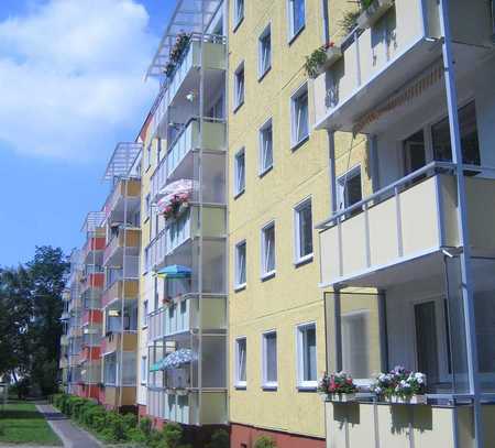 Schöne Wohnung in der Oststadt, 2016 komplette Sanierung Bad & Heizung