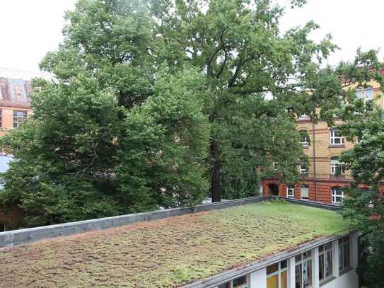 Vermietete Altbauwohnung direkt am Görlitzer Park