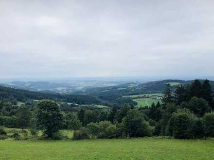 Wald mit genehmigter Jagdhütte