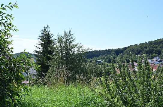 Sonniges Baugrundstück in Gomadingen zu verkaufen, seltene Gelegenheit!