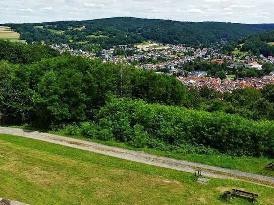 Natur pur im Naturpark Hessischer Spessart