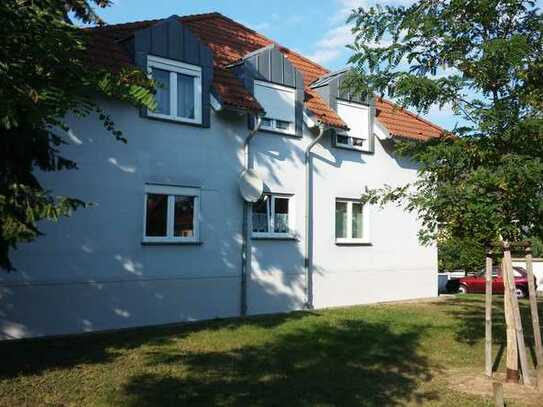 Große frisch renovierte 2 Raum-Wohnung in Neuenhagen