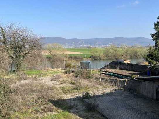 +++ TRAUMGRUNDSTÜCK FÜR ZWEI DHH DIREKT AM NECKAR IN EDINGEN +++