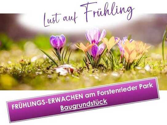 Frühlings-Erwachen am Forstenrieder Park - BAUGRUNDSTÜCK