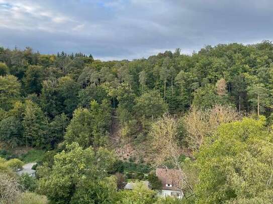 Traumhafte Maisonette-Einliegerwohnung mit Waldblick – Erstbezug in Stuttgart Kaltental