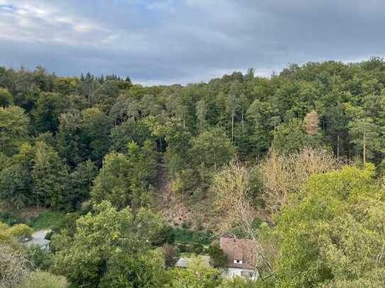 Traumhafte Maisonette-Einliegerwohnung mit Waldblick – Erstbezug in Stuttgart Kaltental