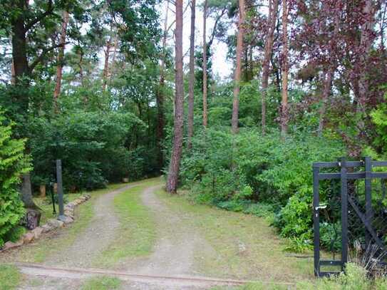 Großes Grundstück mit idyllischem Einfamilienhaus