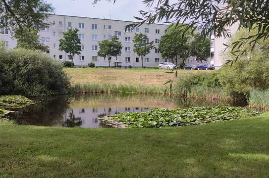 Kinderfreundlicher Aufgang sucht neue Mieter