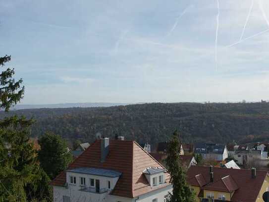 Hochwertige Dachwohnung mit Aussicht