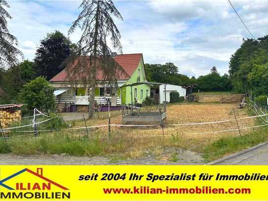 KILIAN IMMOBILIEN! CHANCE FÜR PFERDEFREUNDE! KLEINER PFERDEHOF MIT 3.365 M² IN STADTLAURINGEN!