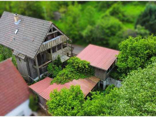 Für Naturliebhaber: Einfamilienhaus mit großzügigem Grundstück in Ulrichstein