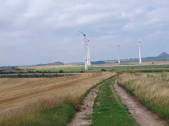 Ackerland mit Windparkplanung zu verkaufen