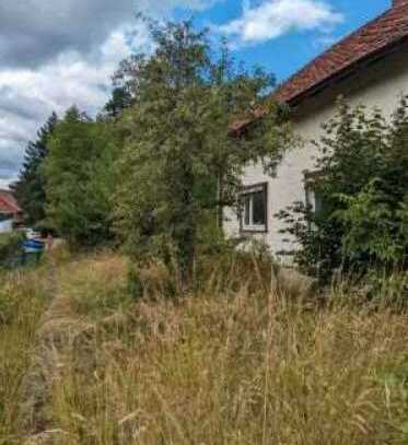 Schönes Baugrundstück in besonderer Lage mit Altbestand in 32760 Detmold