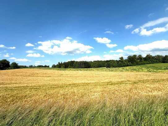 4 Hektar attraktives Ackerland und Grünflächen