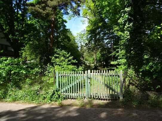 Charmantes Baugrundstück in ruhiger Lage