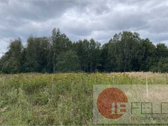 Grün- und Waldfläche in der Uckermark