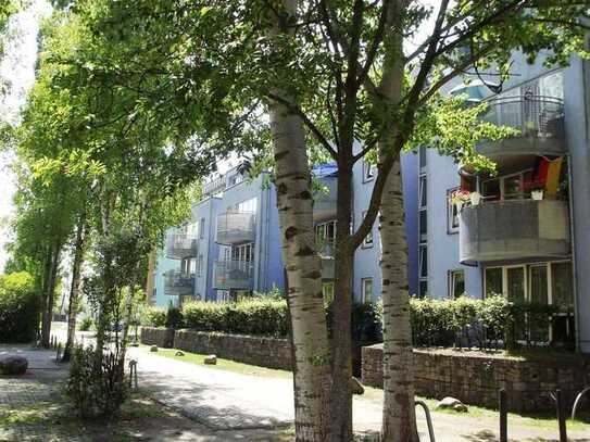 Gut Gemietet - Schöne Familien-Wohnung mit Terrasse in Luckenwalde!