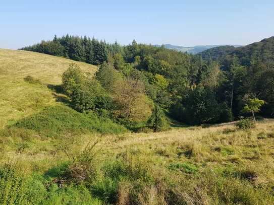 38.000 m² Eigenland im Außenbereich mit bebaubaren Flächen