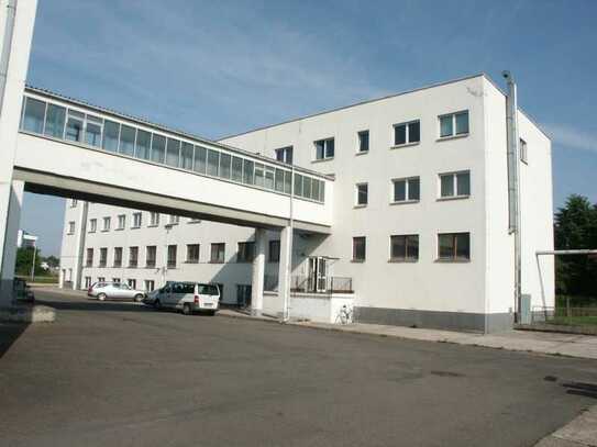 PROVISONSFREI - Zentrale Lage in Weimar: Büroräume ab 15m²