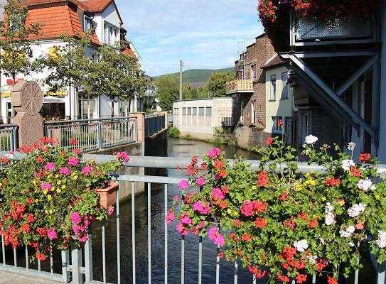 Helle 2,5 Zi Whng mit großen Terrasse und Garage