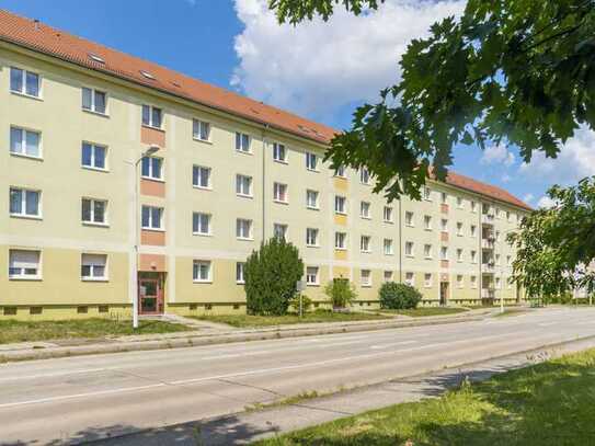 3-Raumwohnung im Erdgeschoss in Zentrumsnähe