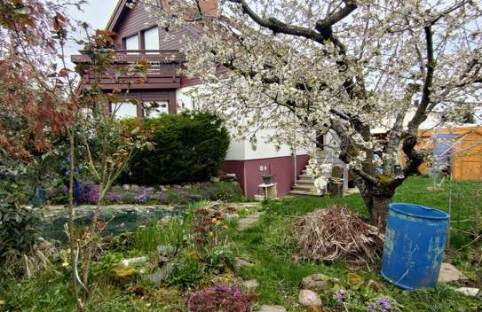 Einfamilienhaus mit Garten, Teich und 156 m² Wohnfläche