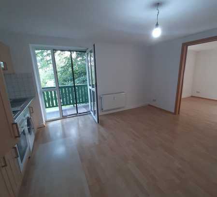 kleine 1,5-Raum Single WE mit EBK, Wanne und Balkon sucht neuen Mieter