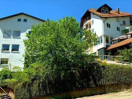 Exklusive 2-Zimmer-Wohnung mit Panoramablick und Erstbezug nach Sanierung zu vermieten!