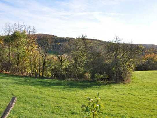 Ruhig gelegenes Baugrundstück in Warburg-Germete