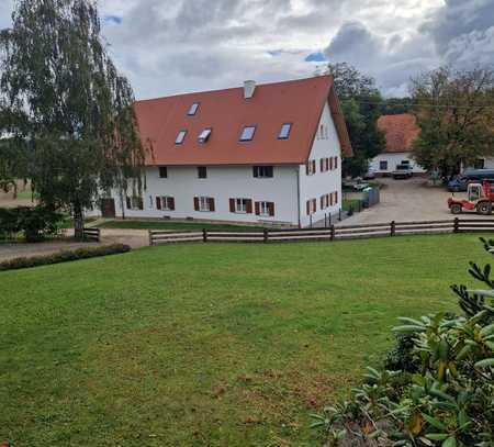 Große helle 2-Zimmerwohnung mit Garten mitten in den westlichen Wäldern bei Gessertshausen