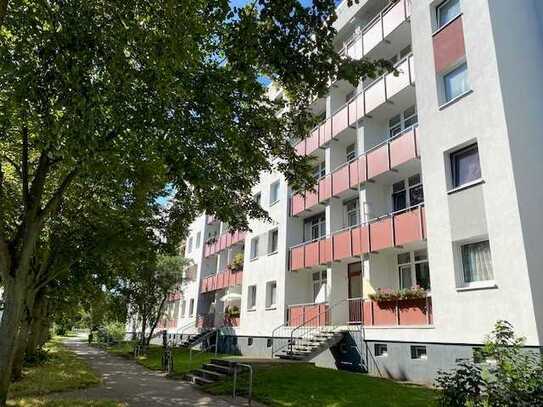 Der Balkon hat Saison!