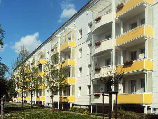 Gemütliche 2-Raum-Wohnung in Debschwitz