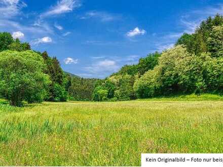 Grünland
in der Gemeinde Gundelsheim