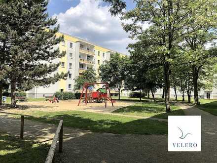 VIEL sanierte Fläche mit Weitblick