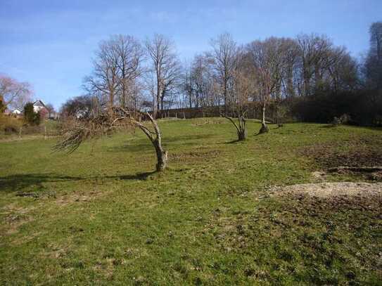 Hügeliges, sonniges Wiesen-Grundstück am Ortsrand