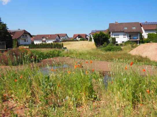 ATTRAKTIVES GRUNDSTÜCK IN BECHHOFEN WARTET AUF IHR HAUS